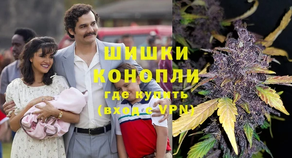 гидра Магас