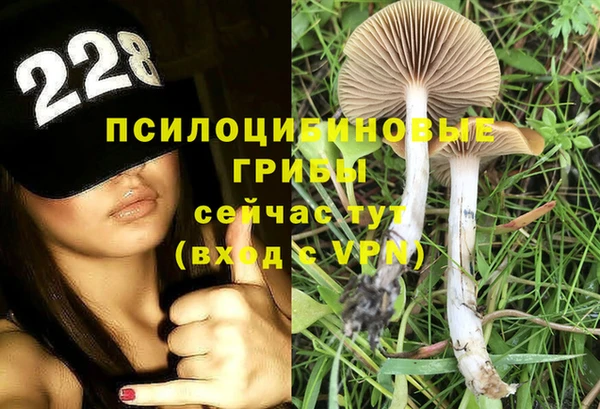 марки lsd Богородицк