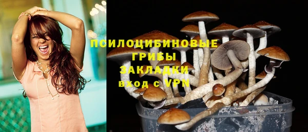 гашиш Богданович