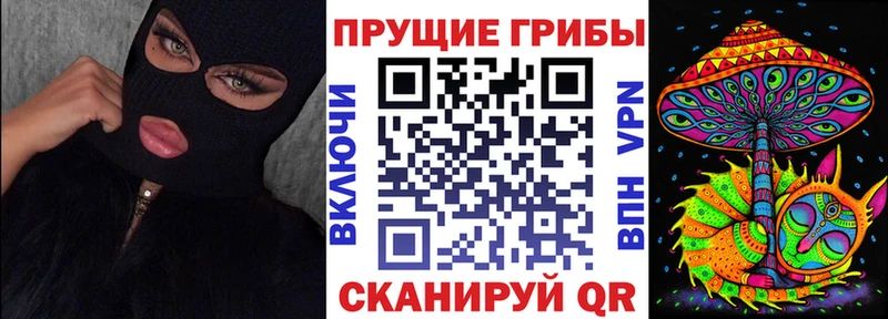 Галлюциногенные грибы ЛСД  сайты даркнета Telegram  Богданович  где можно купить  