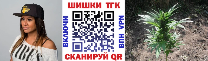 Конопля MAZAR  Богданович 
